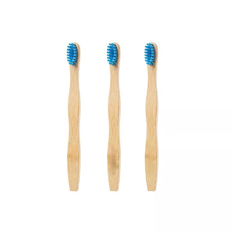 ขนแปรงถ่านย่อยสลายได้